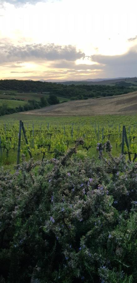 Agriturismo Bagnaia San Quirico dʼOrcia Εξωτερικό φωτογραφία