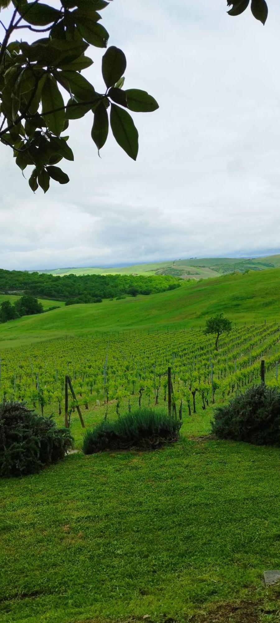 Agriturismo Bagnaia San Quirico dʼOrcia Εξωτερικό φωτογραφία