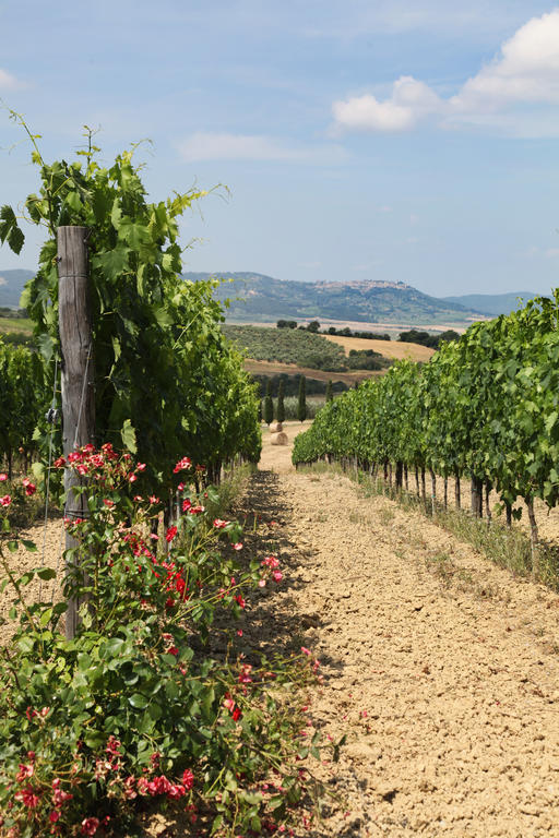 Agriturismo Bagnaia San Quirico dʼOrcia Εξωτερικό φωτογραφία