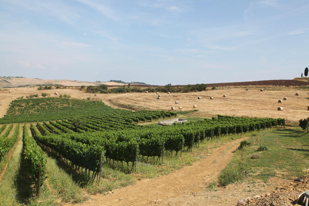 Agriturismo Bagnaia San Quirico dʼOrcia Εξωτερικό φωτογραφία